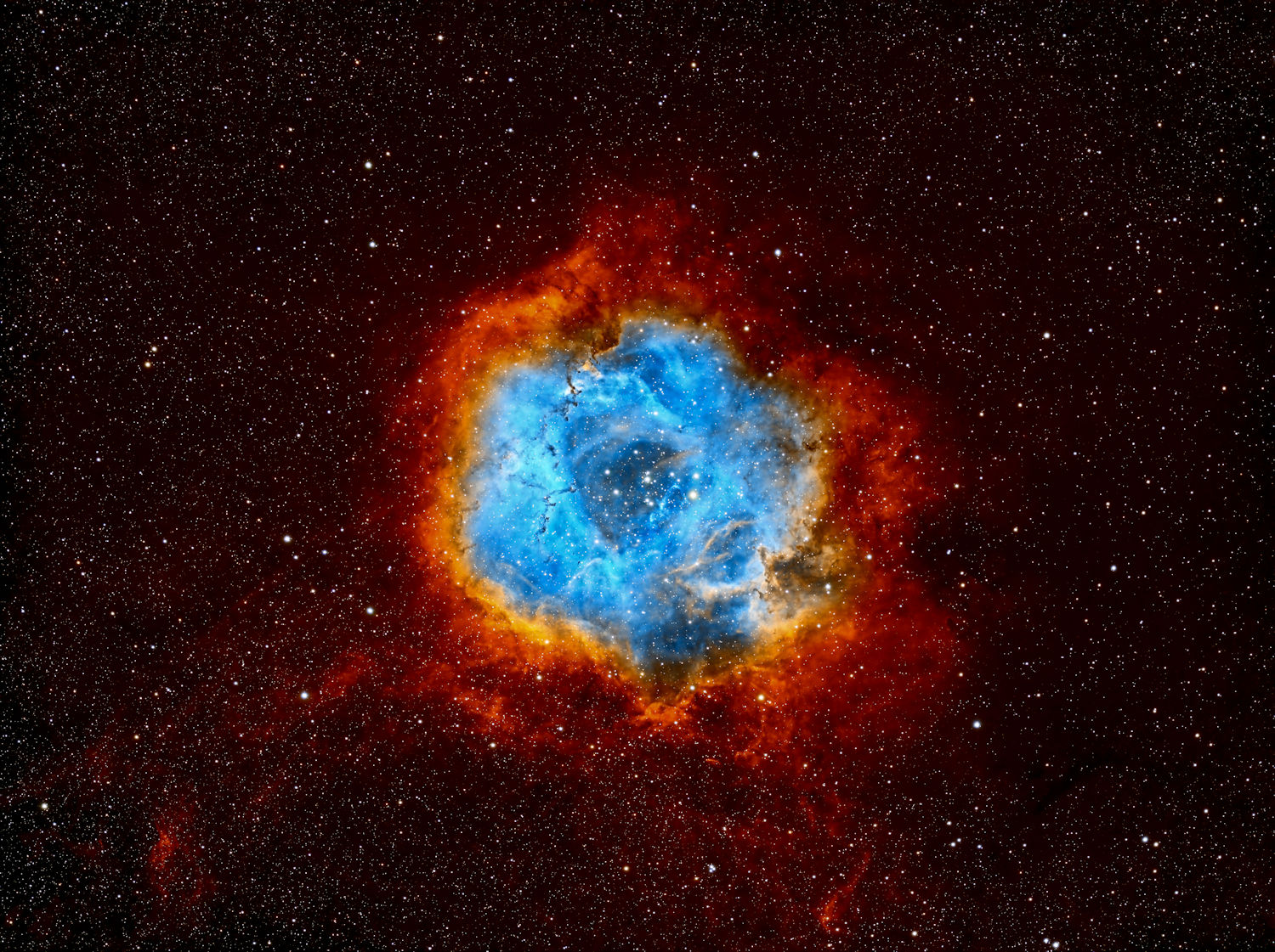 Rosette (NGC 2239) Wide Field Gallery Rosette Wide Field