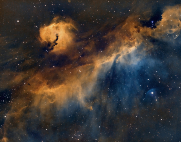 Seagull Nebula IC 2177.png Seagull Nebula IC 2177